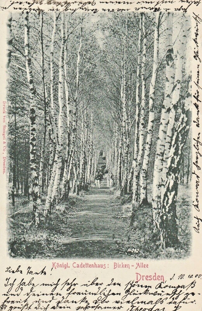 Marienallee