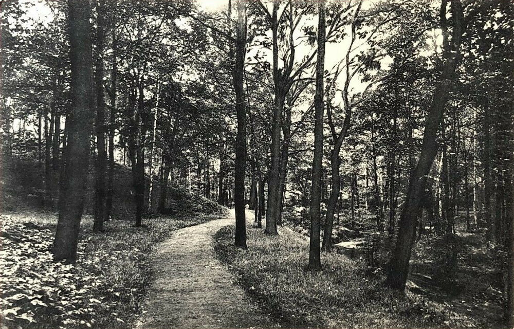 Prießnitzgrund