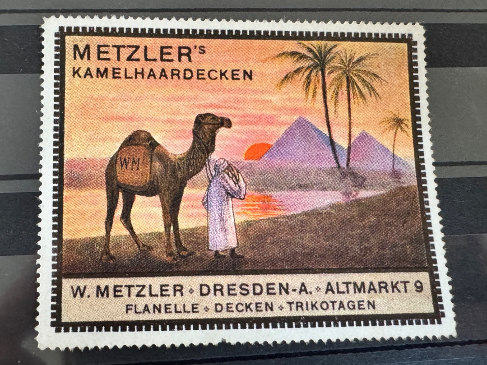 Altmarkt 9