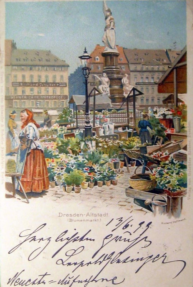 Altmarkt - Blumenmarkt