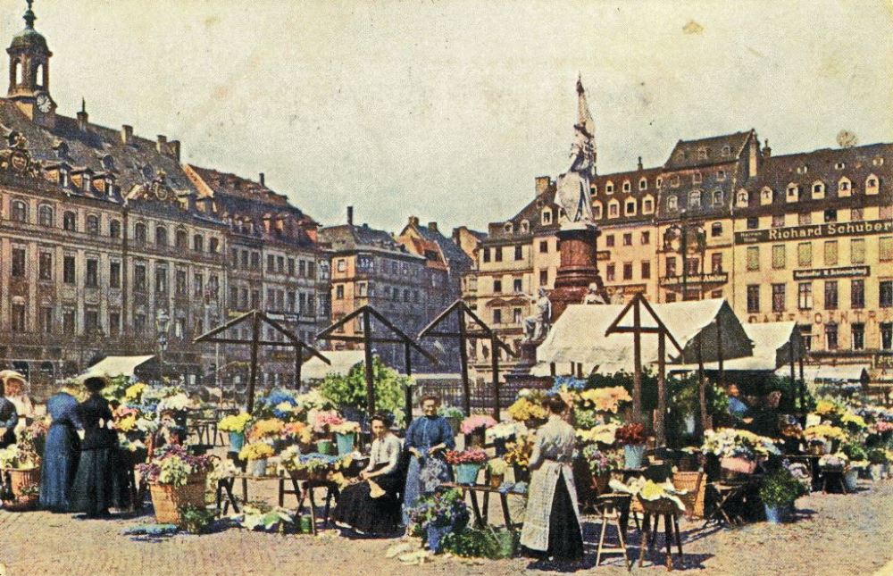 Altmarkt - Blumenmarkt
