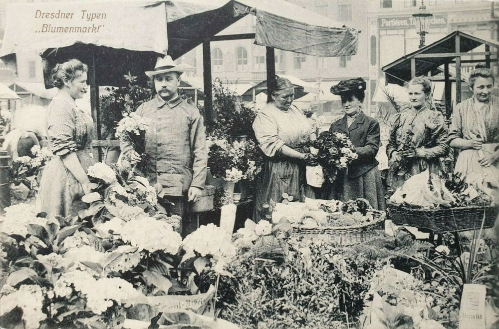 Altmarkt - Blumenmarkt