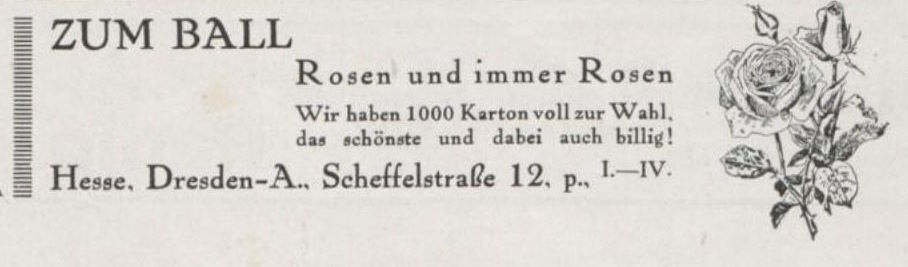 Scheffelstraße 12