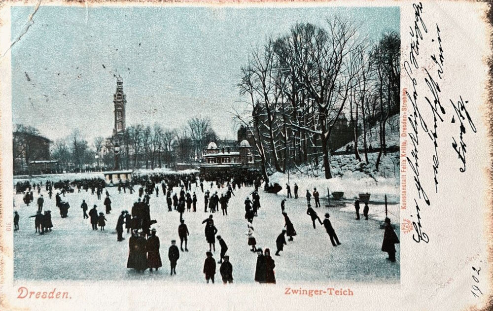 Zwingerteich - zugefroren