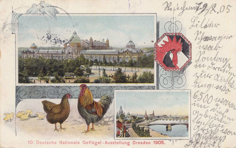 10. nationale Geflügel-Ausstellung 1905