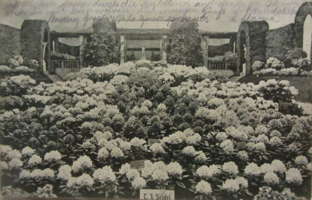 3. Internationale Gartenbauausstellung 1907