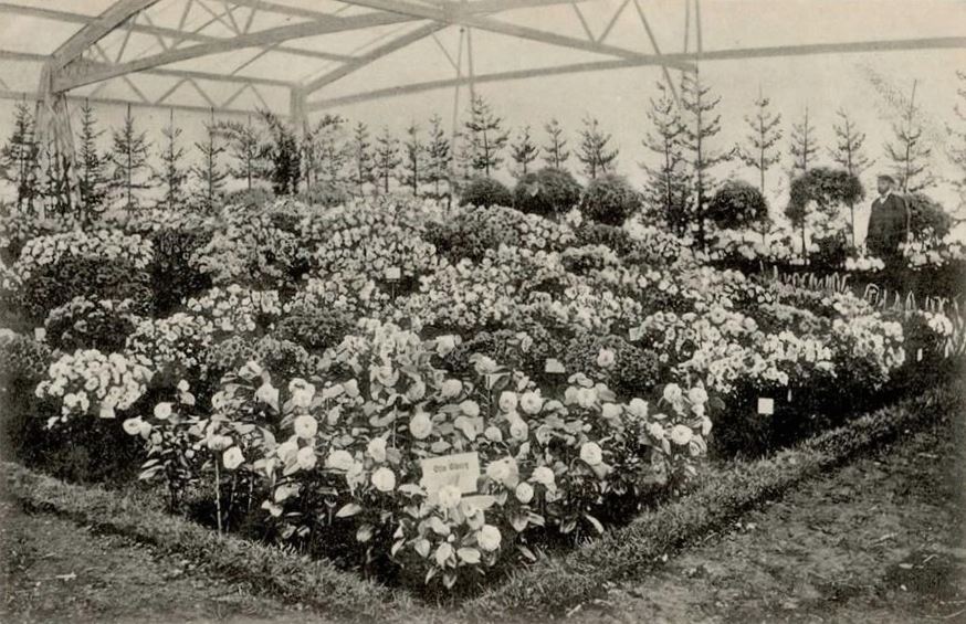 3. Internationale Gartenbauausstellung 1907