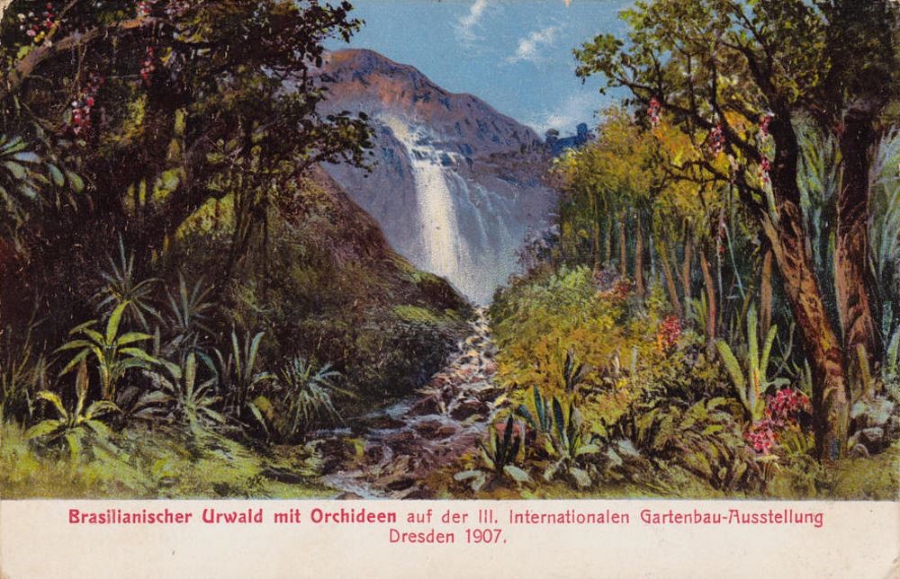 3. Internationale Gartenbauausstellung 1907