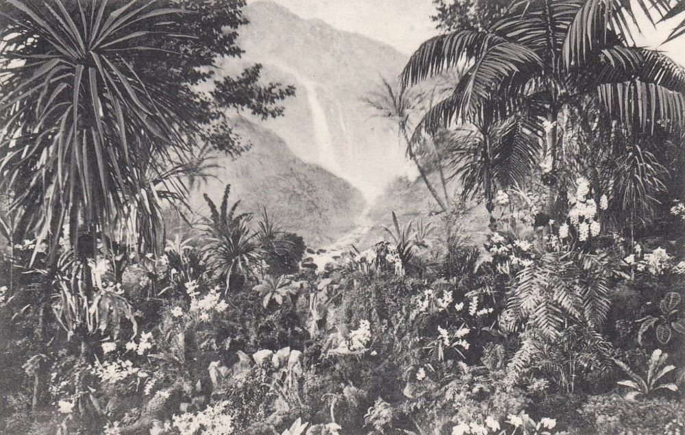 3. Internationale Gartenbauausstellung 1907