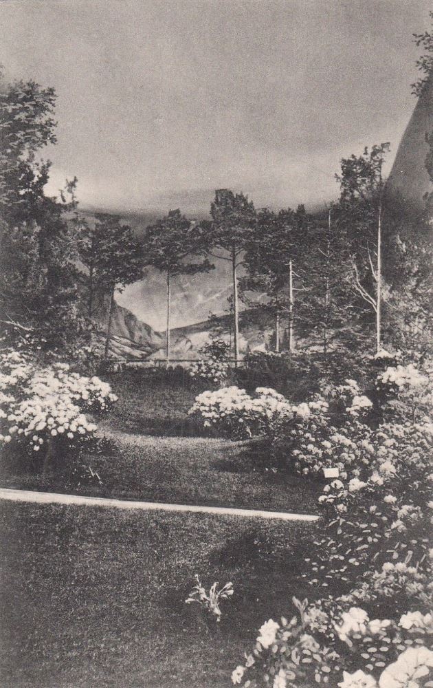3. Internationale Gartenbauausstellung 1907