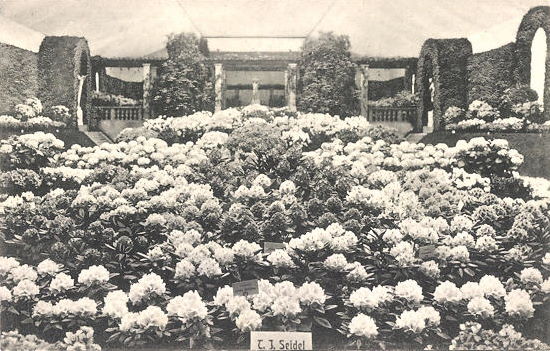 3. Internationale Gartenbauausstellung 1907