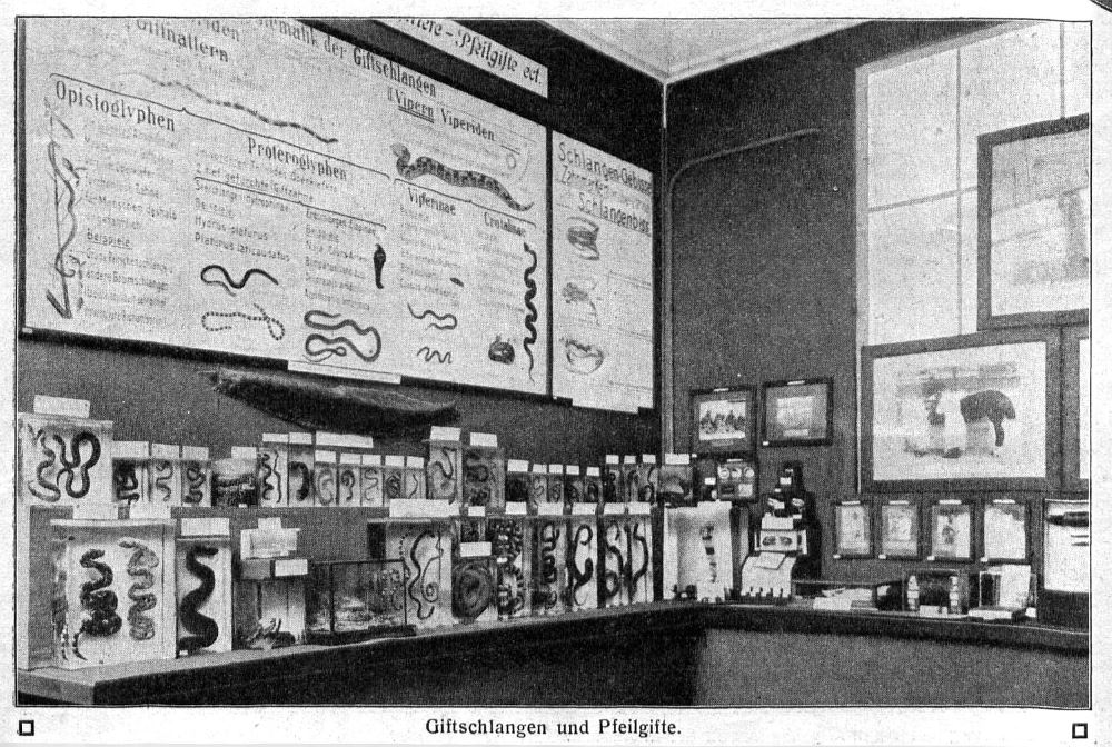 Internationale Hygieneausstellung 1911