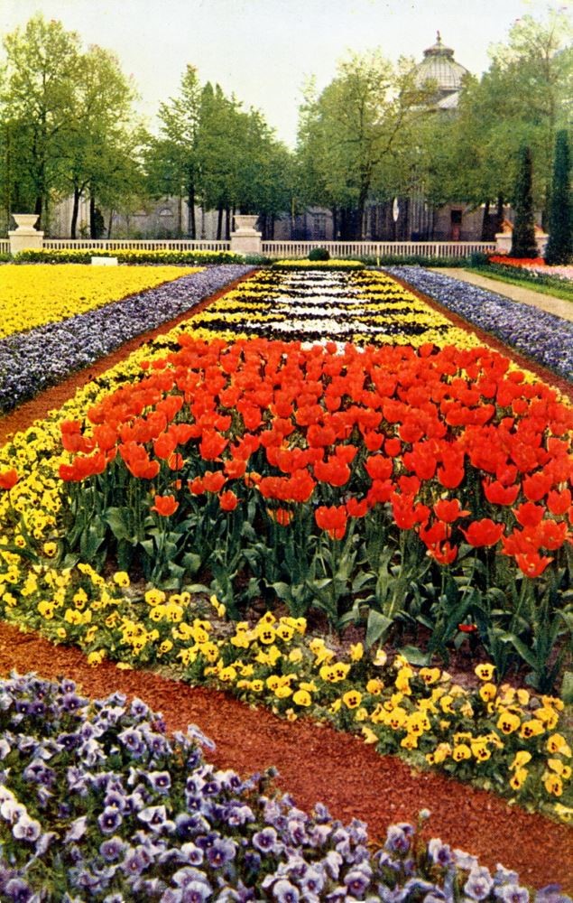 Jubiläums-Gartenbau-Ausstellung 1926