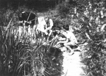 Jubiläums-Gartenbau-Ausstellung 1926