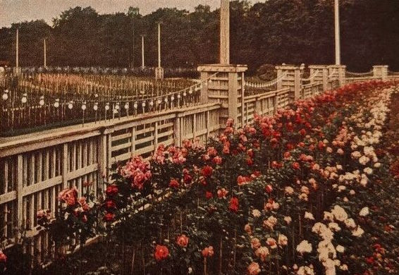 Jubiläums-Gartenbau-Ausstellung 1926