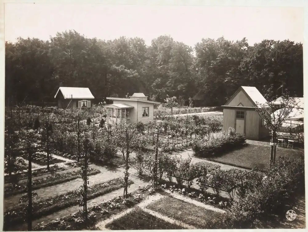 Jubiläums-Gartenbau-Ausstellung 1926