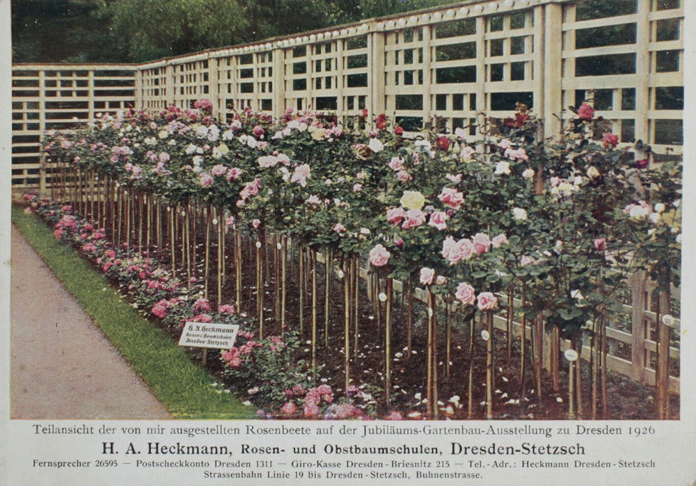 Jubiläums-Gartenbau-Ausstellung 1926