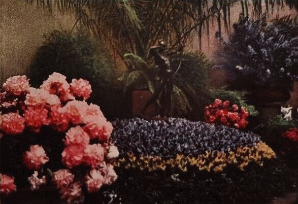 Jubiläums-Gartenbau-Ausstellung 1926