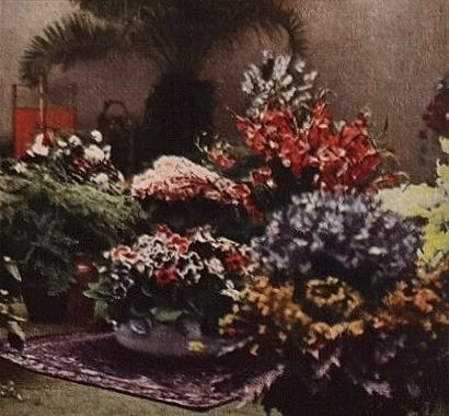 Jubiläums-Gartenbau-Ausstellung 1926