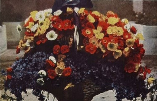Jubiläums-Gartenbau-Ausstellung 1926