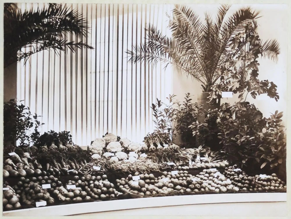 Jubiläums-Gartenbau-Ausstellung 1926