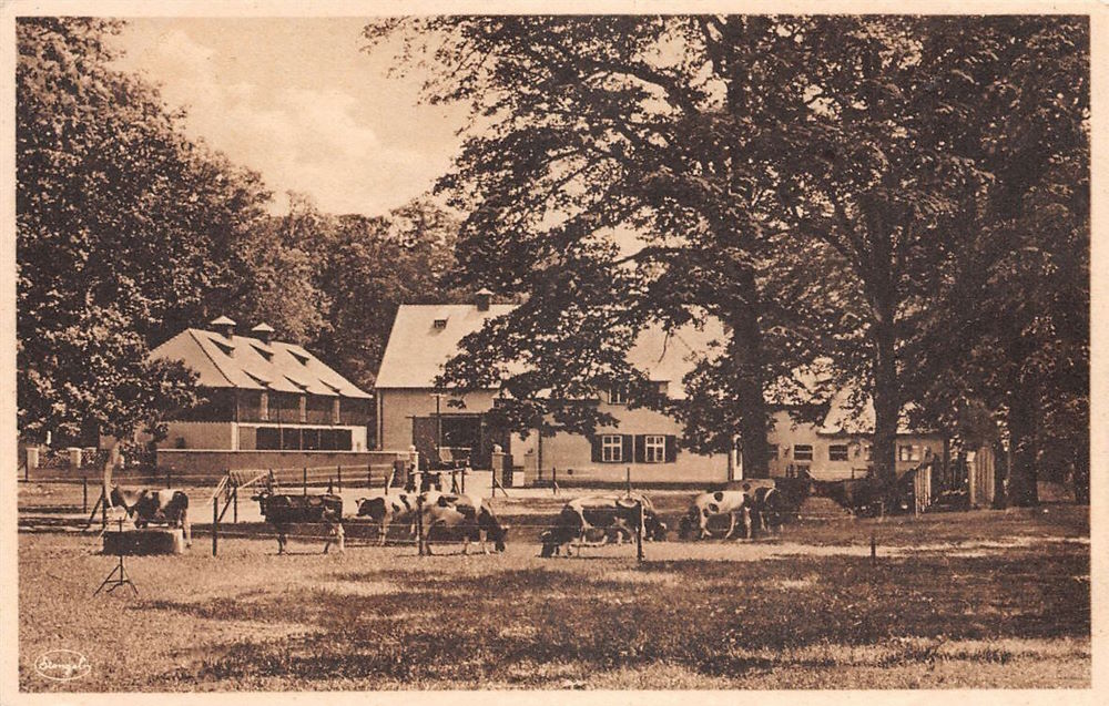 Internationale Hygieneausstellung 1930-31
