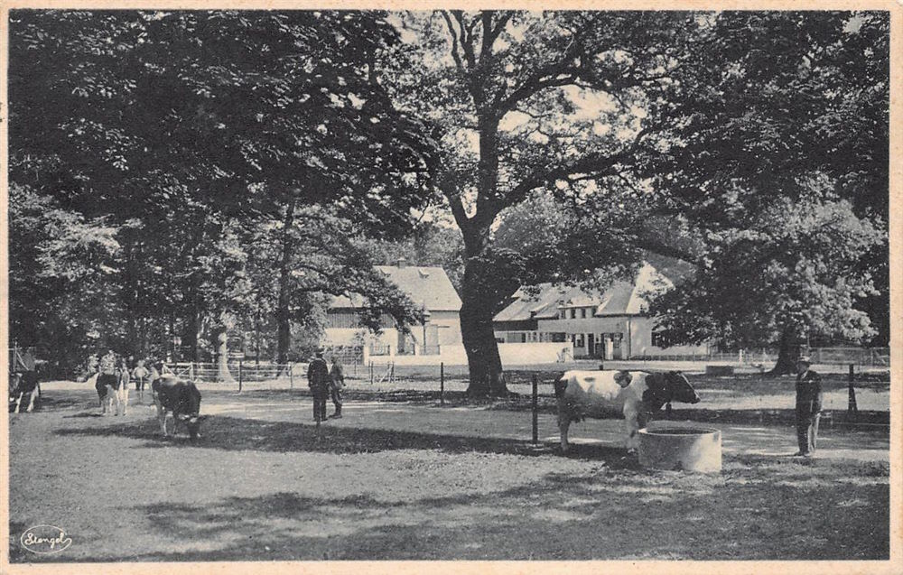 Internationale Hygieneausstellung 1930-31
