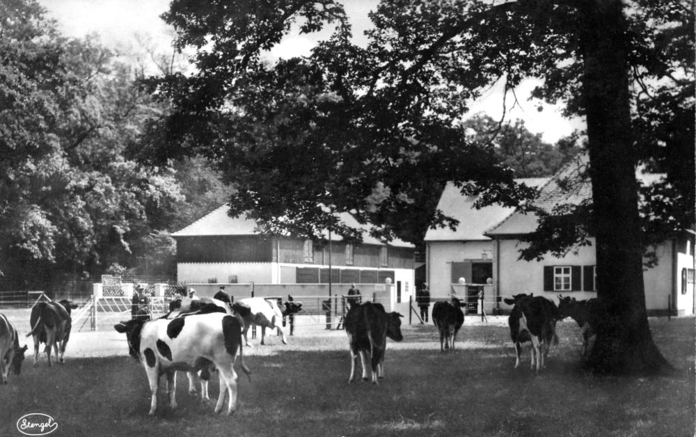 Internationale Hygieneausstellung 1930-31
