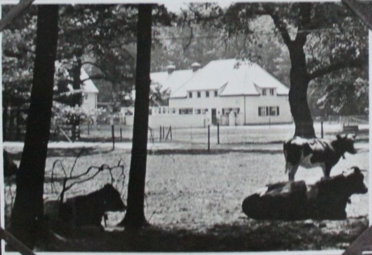 Internationale Hygieneausstellung 1930-31