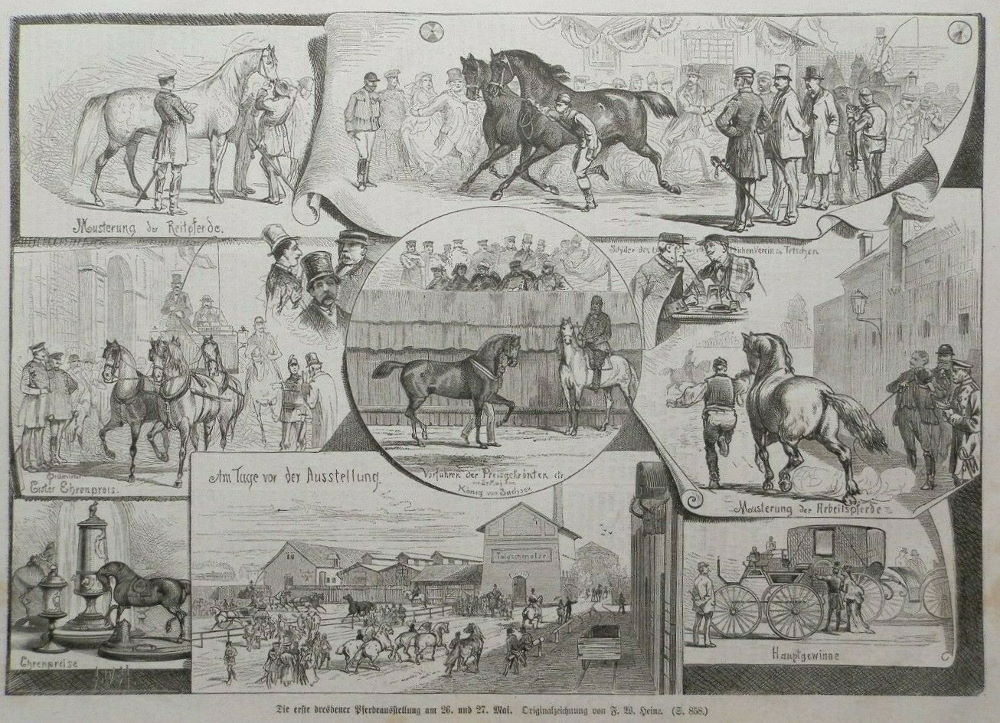 1875 Erste Dresdner Pferdeschau