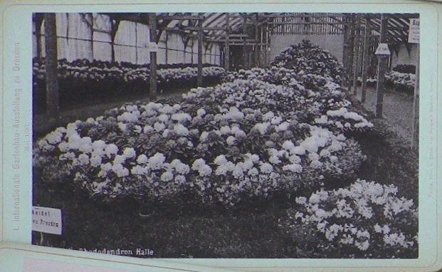 1. Internationale Gartenbau Ausstellung zu Dresden 1887