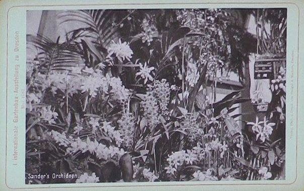 1. Internationale Gartenbau Ausstellung zu Dresden 1887