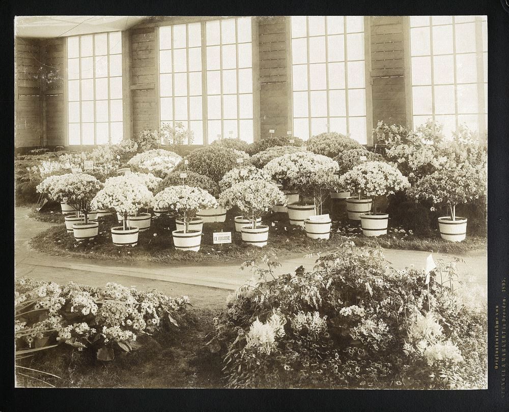 Internationale Gartenbauausstellung 1896