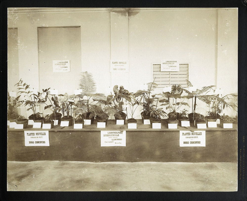 Internationale Gartenbauausstellung 1896