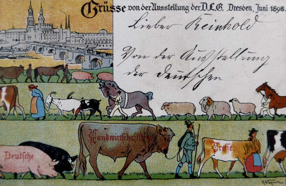 Landwirtschaftliche Ausstellung 1898