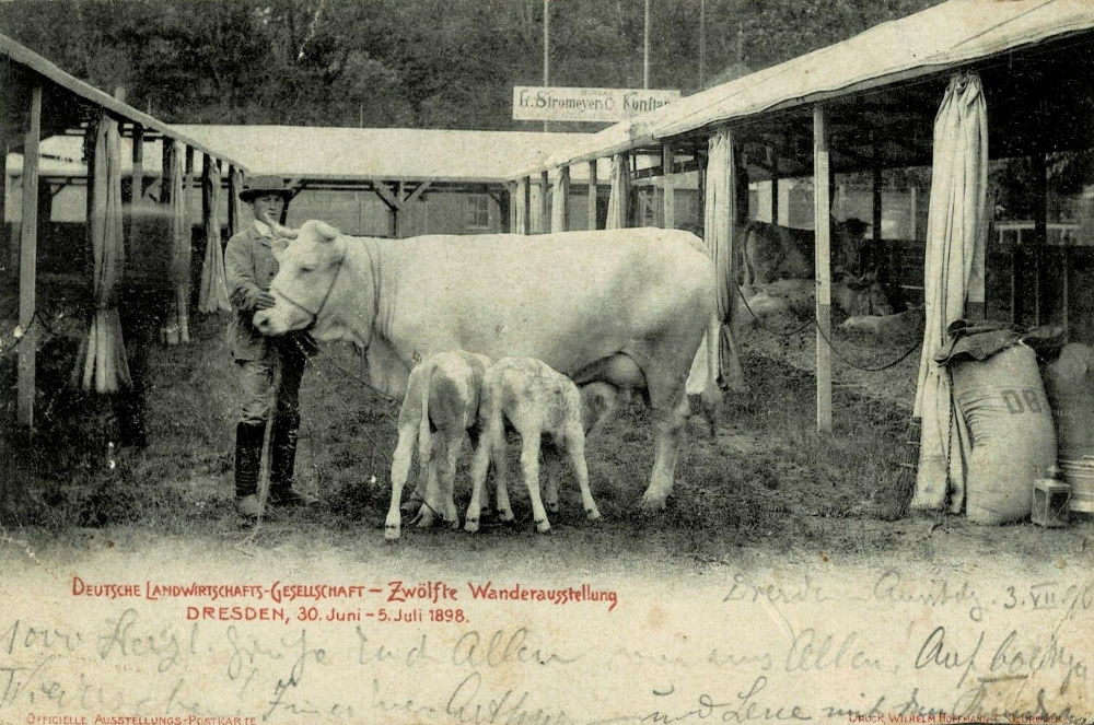 12. Wanderausstellung der deutschen Landwirtschaft 1898