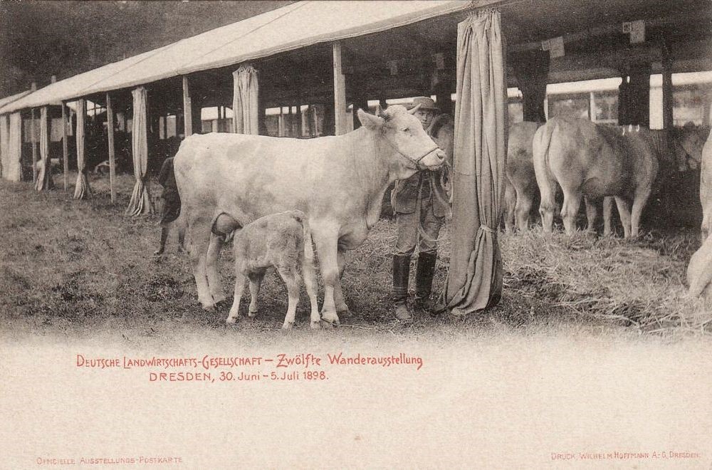 12. Wanderausstellung der deutschen Landwirtschaft 1898