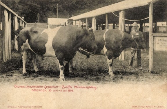 12. Wanderausstellung der deutschen Landwirtschaft 1898
