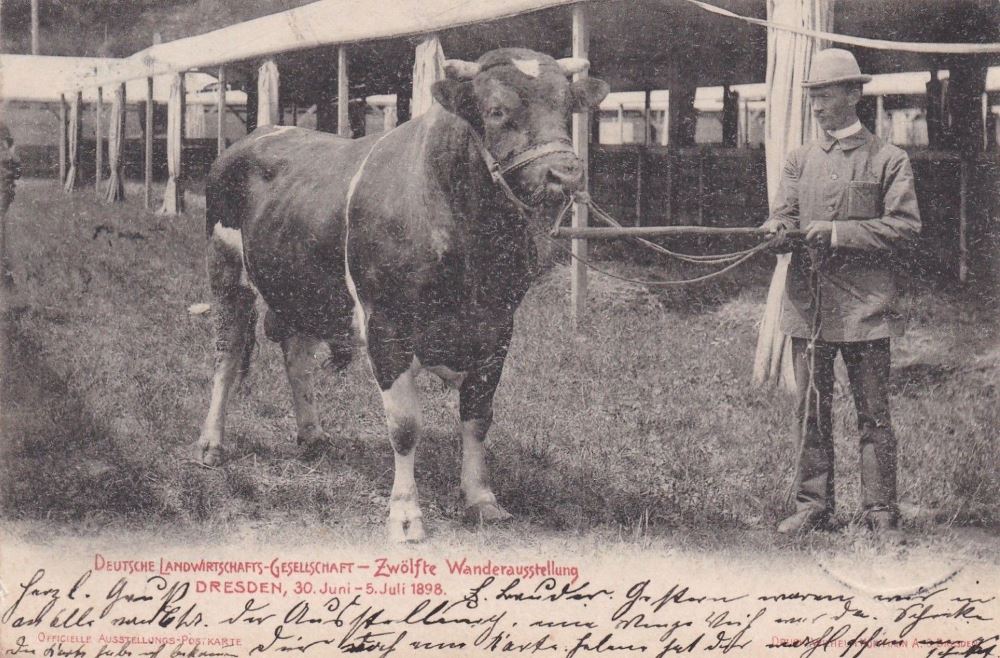 12. Wanderausstellung der deutschen Landwirtschaft 1898