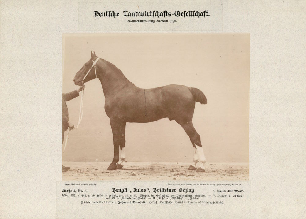 12. Wanderausstellung der deutschen Landwirtschaft 1898
