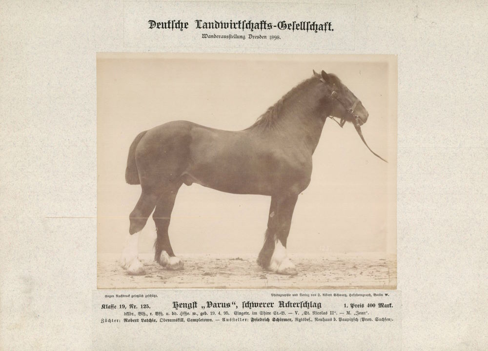 12. Wanderausstellung der deutschen Landwirtschaft 1898