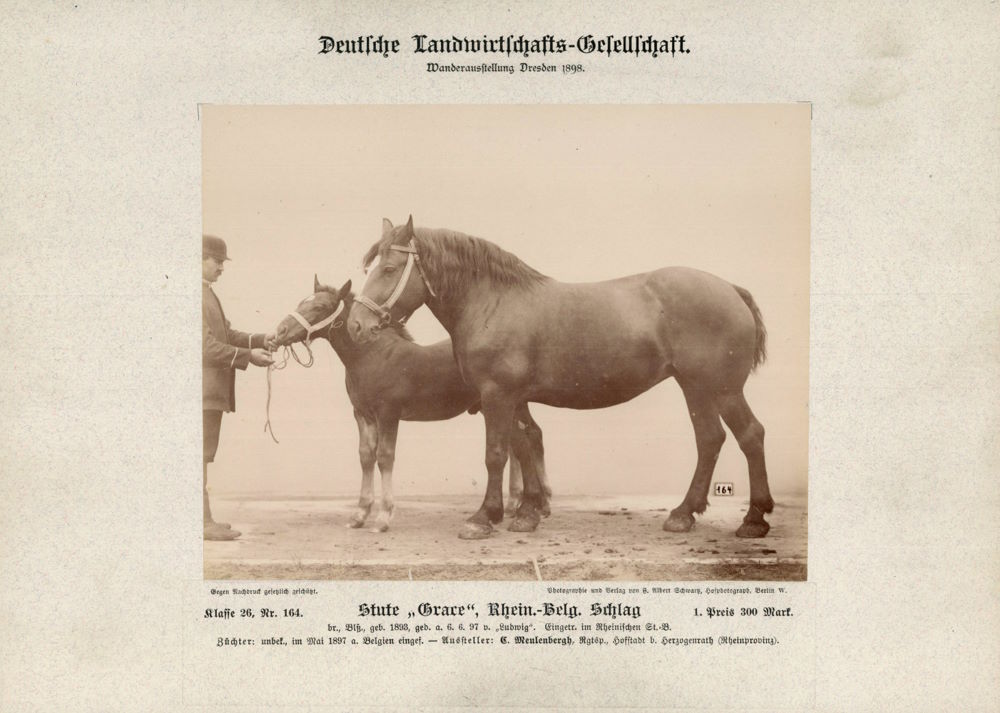 12. Wanderausstellung der deutschen Landwirtschaft 1898