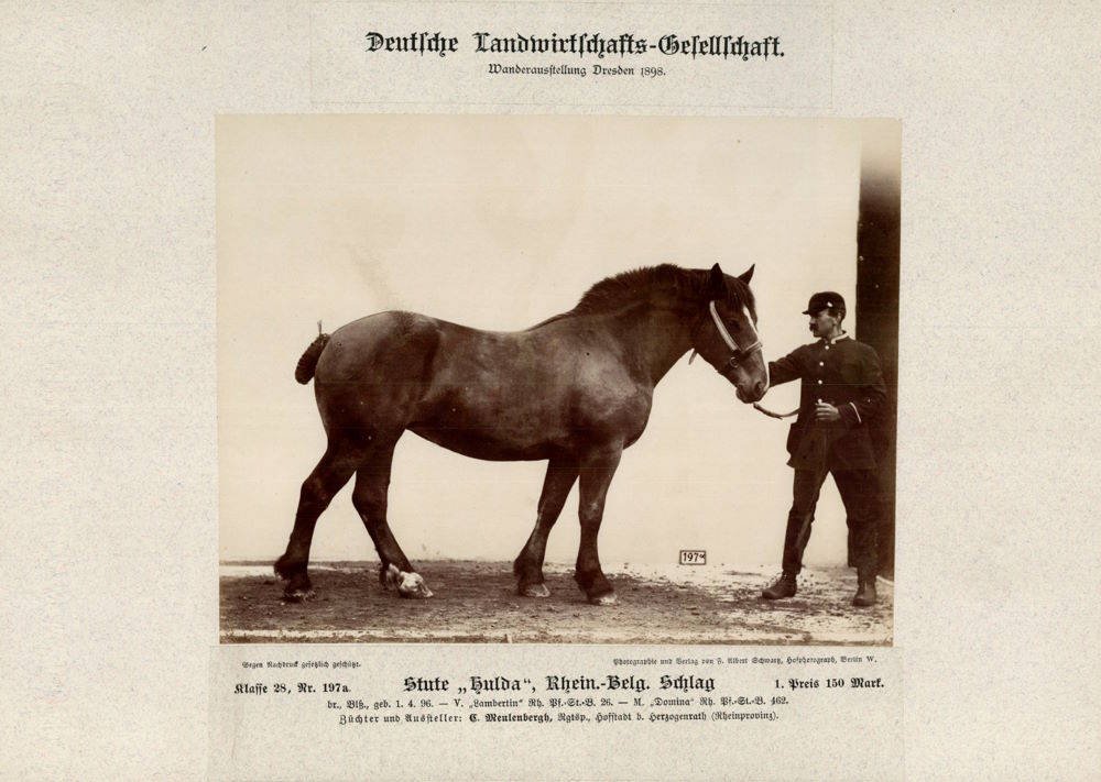 12. Wanderausstellung der deutschen Landwirtschaft 1898