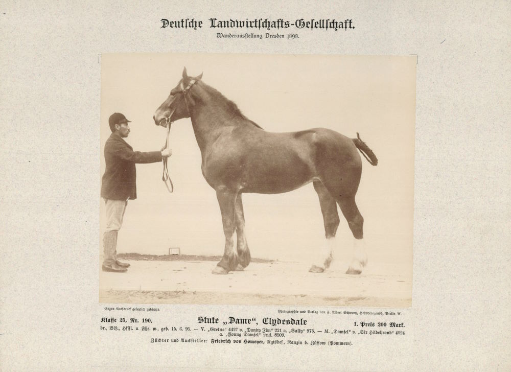12. Wanderausstellung der deutschen Landwirtschaft 1898