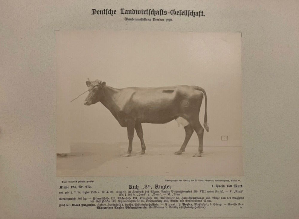 12. Wanderausstellung der deutschen Landwirtschaft 1898
