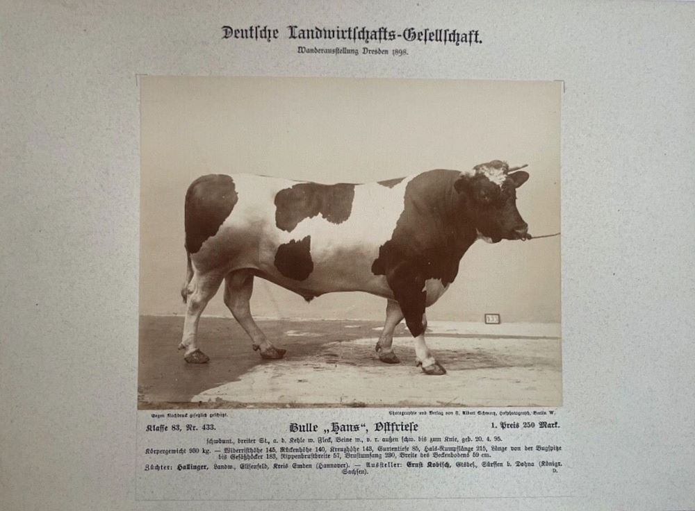 12. Wanderausstellung der deutschen Landwirtschaft 1898