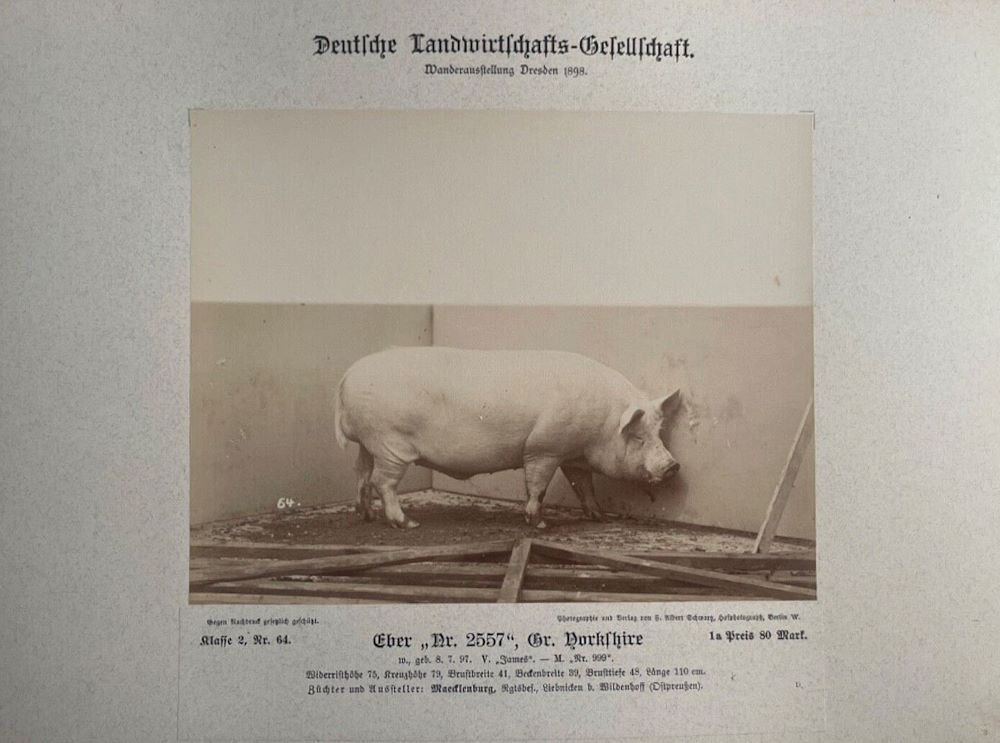 12. Wanderausstellung der deutschen Landwirtschaft 1898