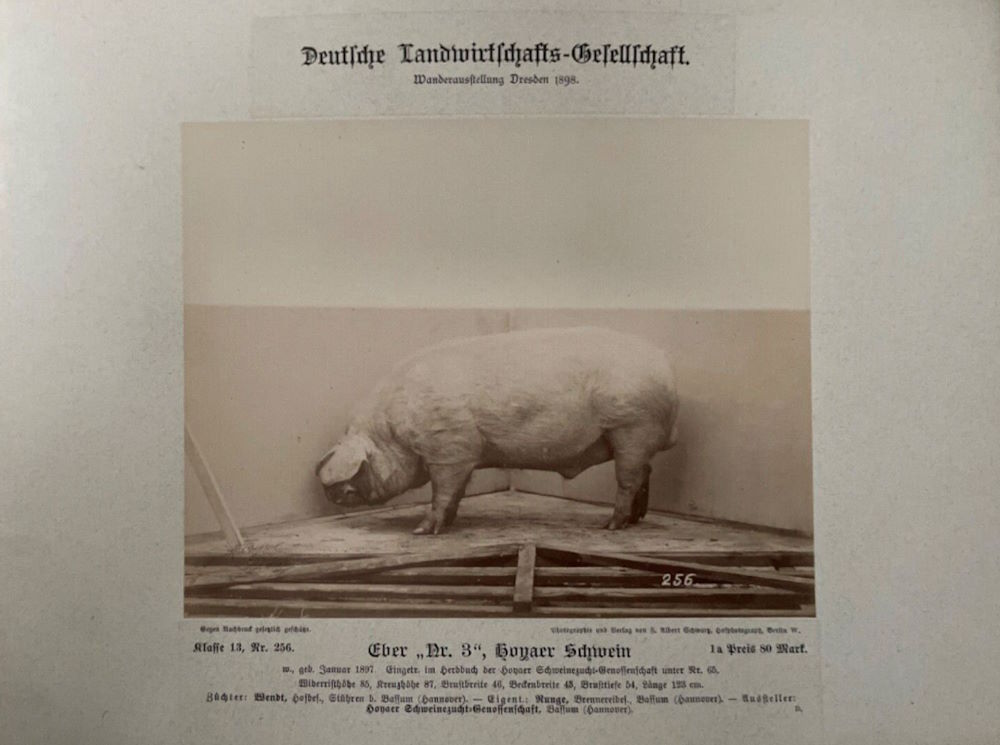 12. Wanderausstellung der deutschen Landwirtschaft 1898