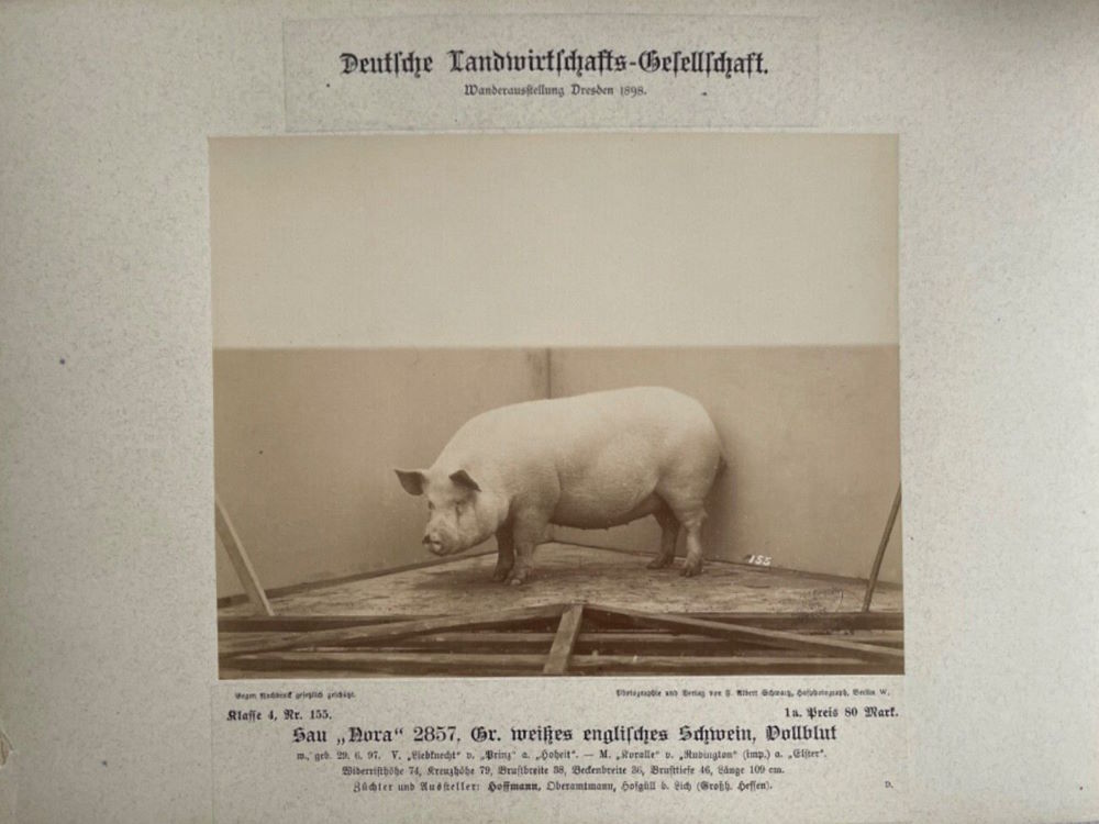 12. Wanderausstellung der deutschen Landwirtschaft 1898