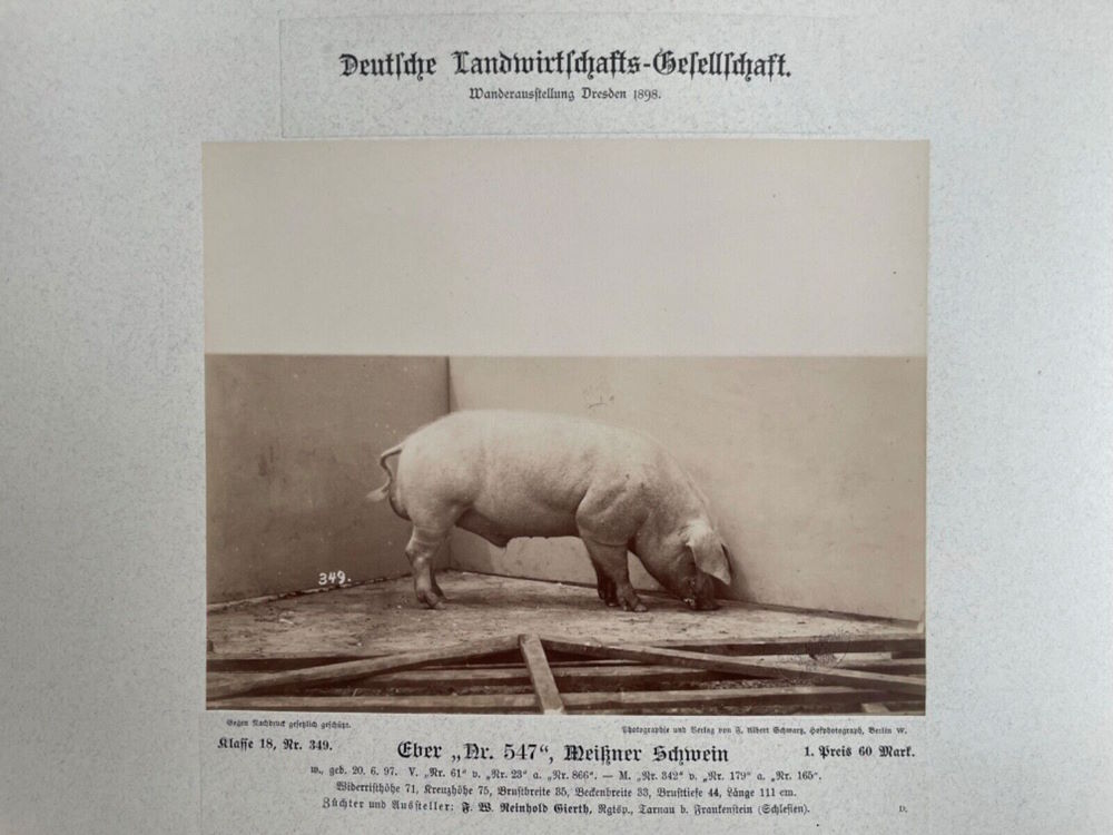 12. Wanderausstellung der deutschen Landwirtschaft 1898